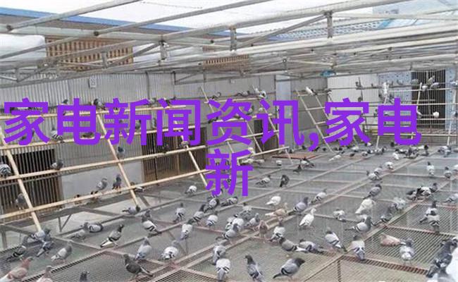 东方基金总经理刘鸿鹏坚守本源以持有人利益为先