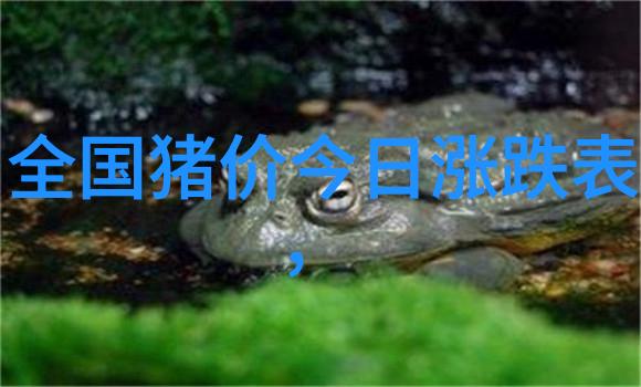 益阳风淋室 益阳风淋室厂家