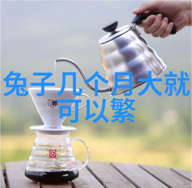 PC 3001 VARIOpro耐腐蚀化学真空系统 真空泵