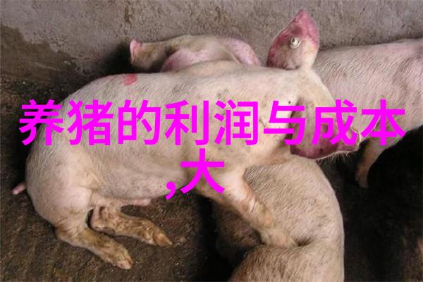 进口氯气专用截止阀