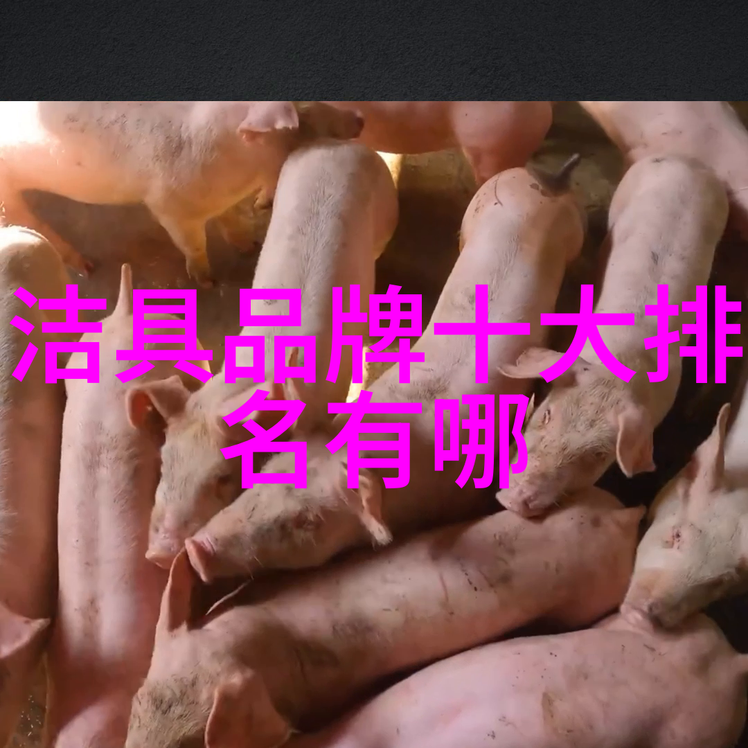 HH-519精密数字压力仪