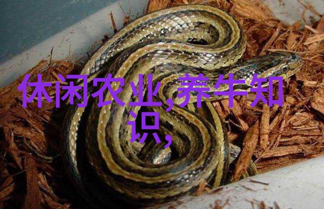 坚果炒货高速给袋包装机YD-160S